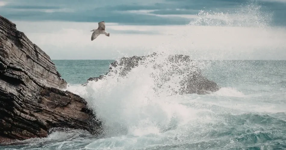 Hidden Gems in Morro Bay, USA: Things Only Locals Know