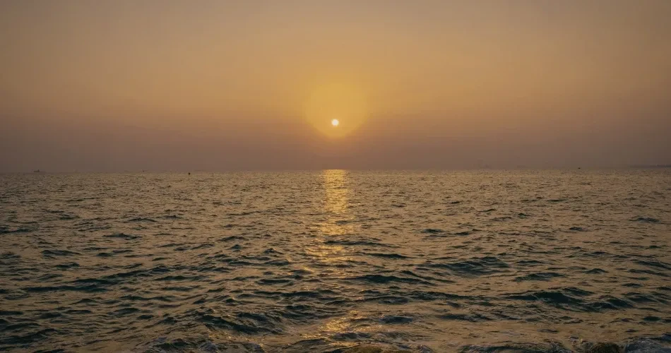 Morro Rock, California: History, Hiking Trails & What to Know